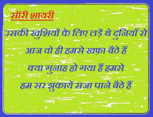 सॉरी शायरी