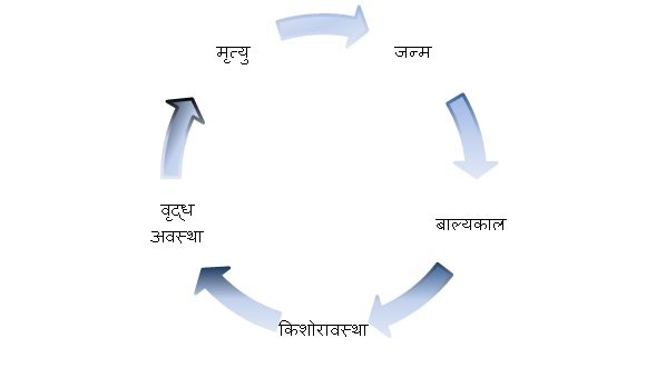 samay ka sadupyog mahatv nibandh kavita kahani dohe quotes in hindi